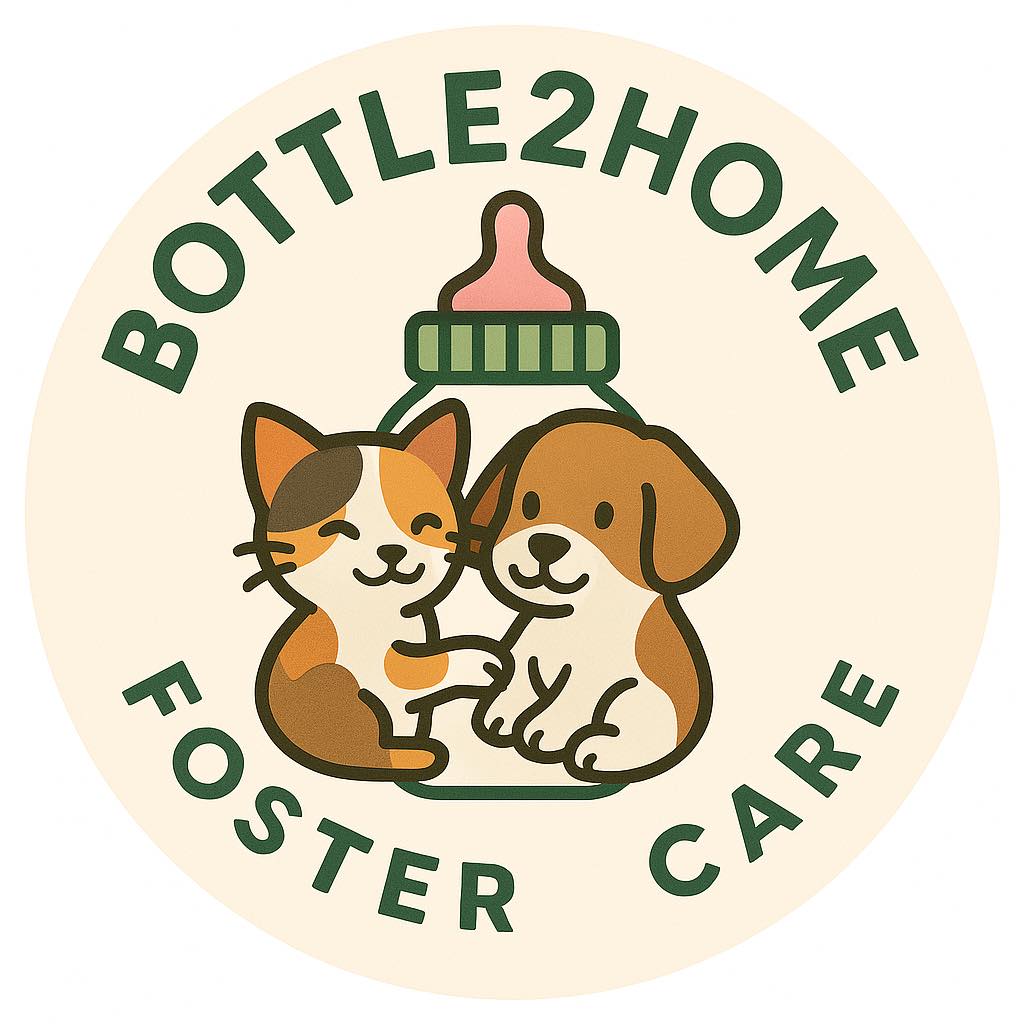 Bottle2Home Foster Care logo